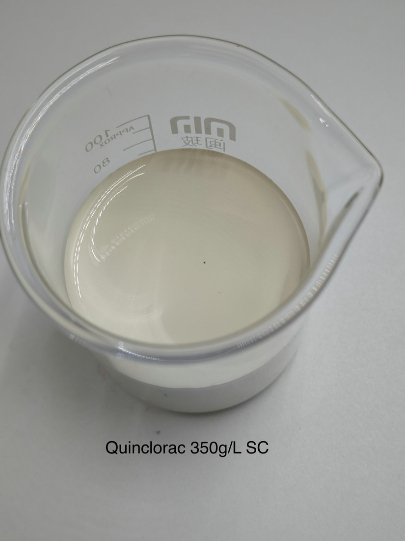 Quinclorac 350g/L SC
